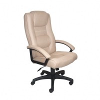 Кресло для руководителя T-9906AXSN/F10 - Интернет-магазин мебели 72, Тюмень