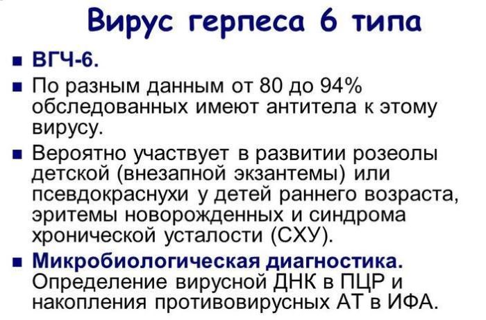 Типы герпеса у детей. Антитела вируса герпеса 6 типа. Вирус герпеса 6 типа симптомы. Вирус герпеса 6 типа HHV 6 У ребенка. Антитела к герпесвирусу человека 6 типа у детей.