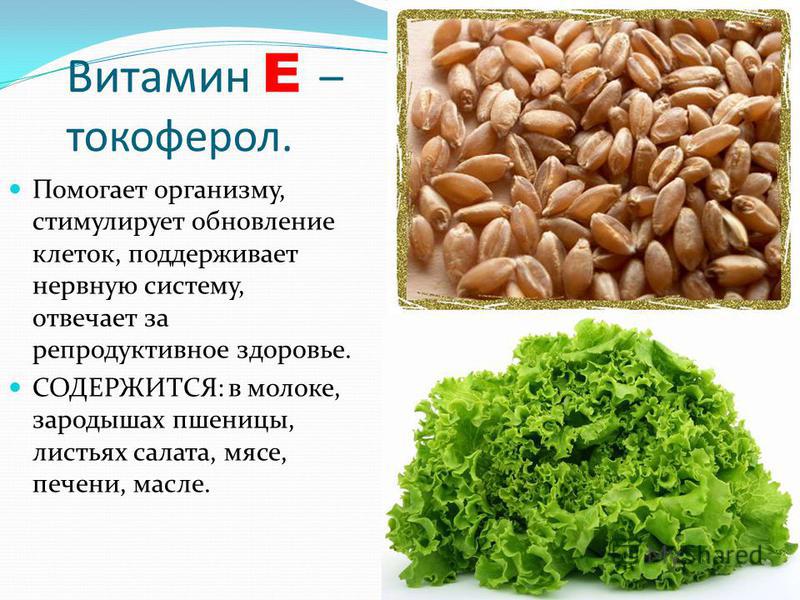 Токоферол в каких продуктах. Витамин e (токоферол). Витамин е токоферол содержится. Витамины а + е. Витамин витамин витамин е (токоферол.