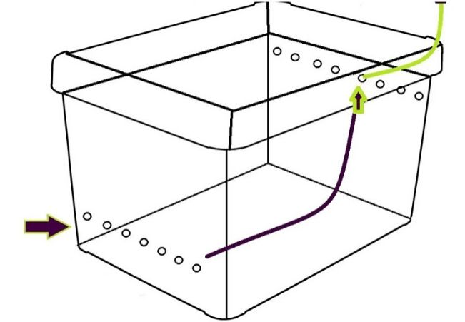 вентиляция в террариуме для улиток