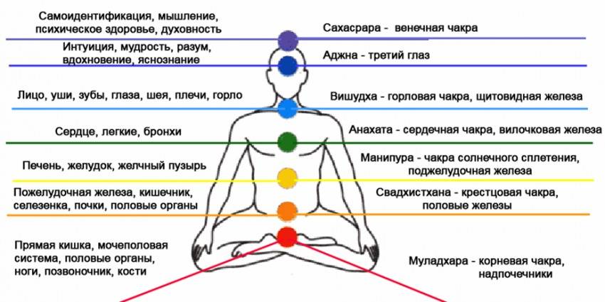 Тибетская гимнастика упражнения для позвоночника