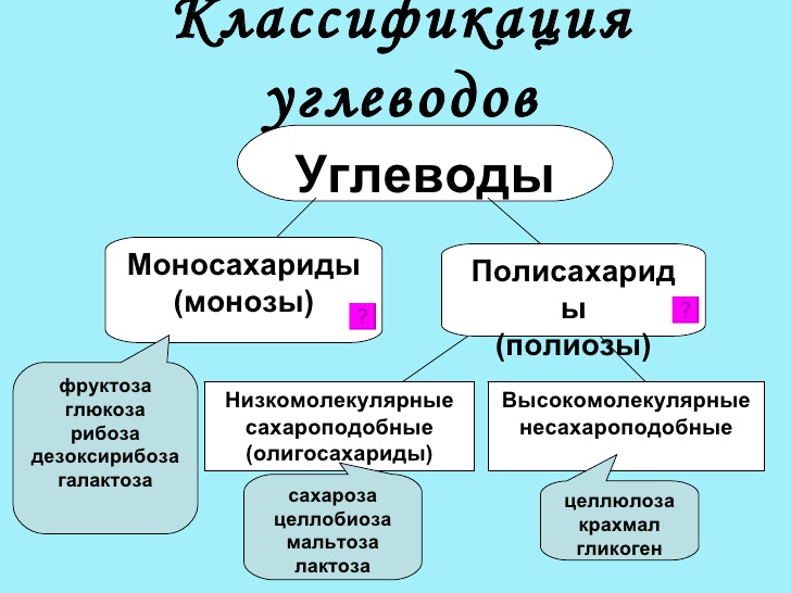 Схема 14 классификация углеводов