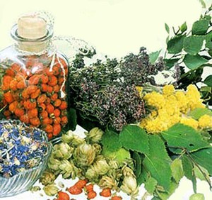Народная медицина предлагает сборы трав от фурункулеза.