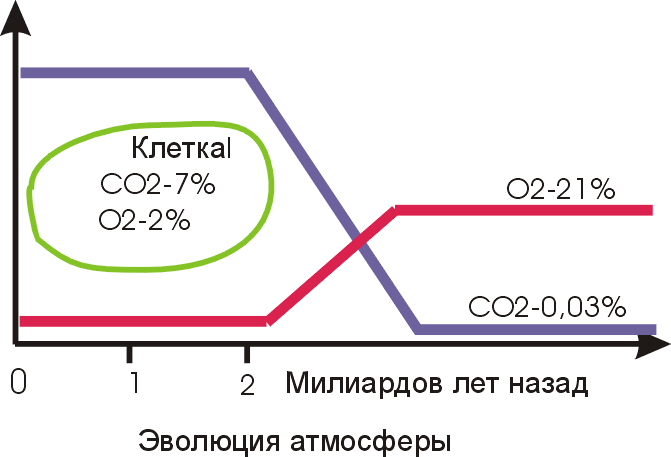 Дыхание по методу Бутейко