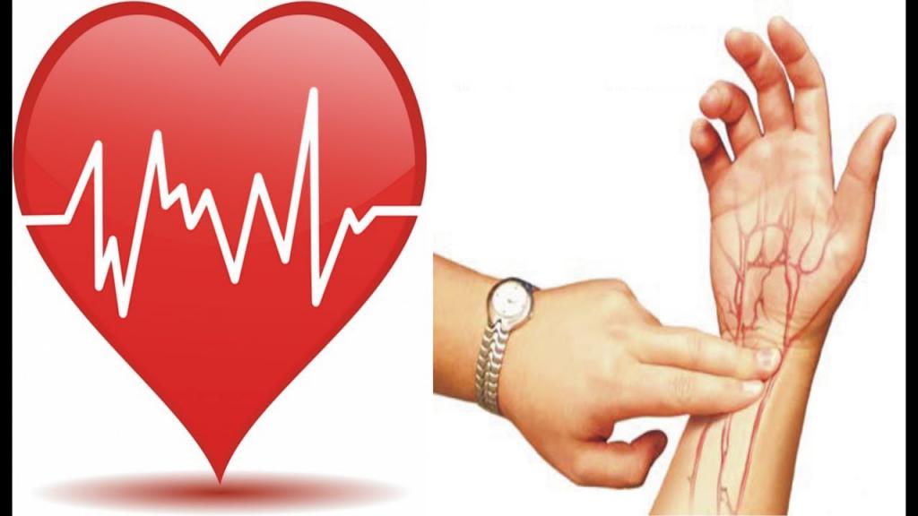 Пульс при аритмии сердца