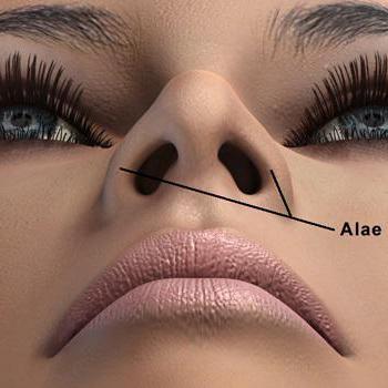 физиогномика широкий нос