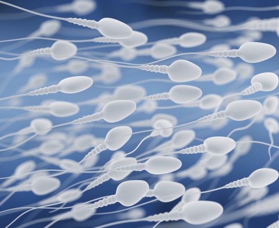 2659218 - Полезна ли женская сперма для мужчин