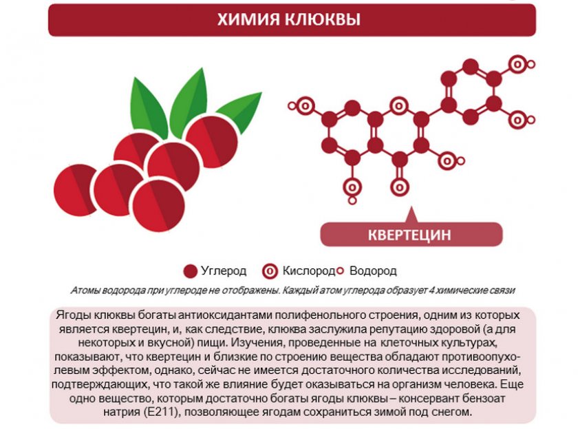 Химический состав клюквы