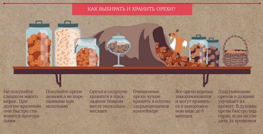 Как выбирать и хранить орехи