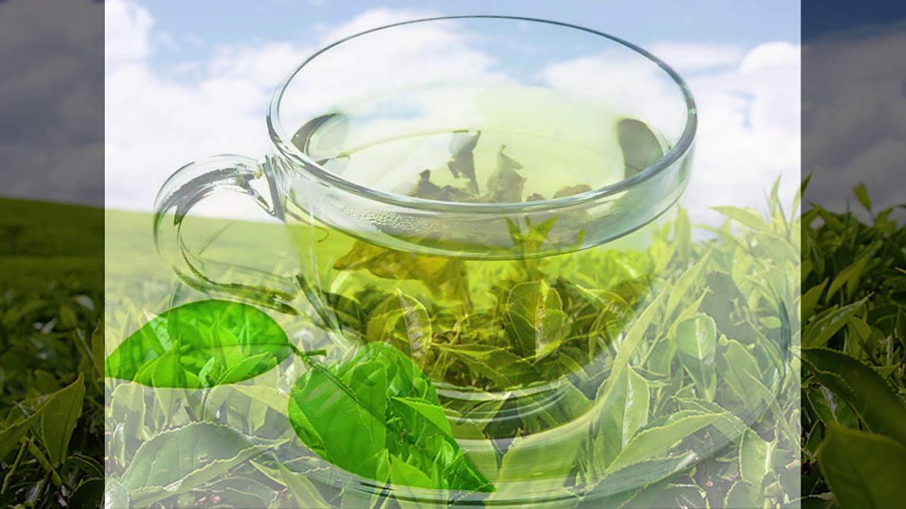 Зеленый чай польза или вред