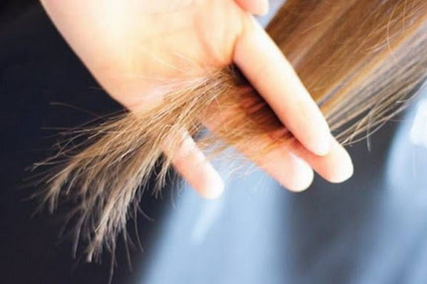 Чем чистить кончиков волос