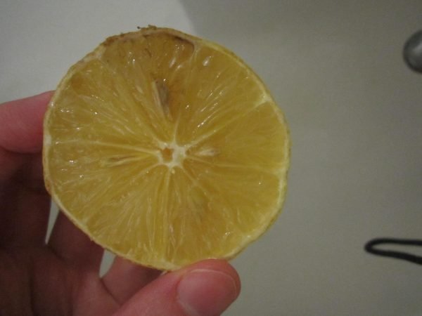 Лимон с краской