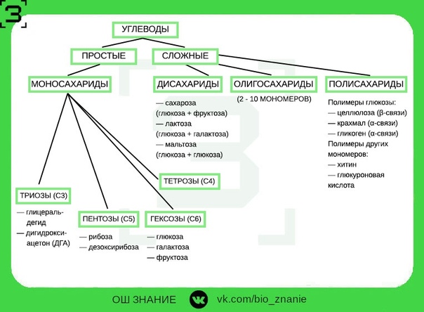 Углеводы презентация 9 класс по биологии