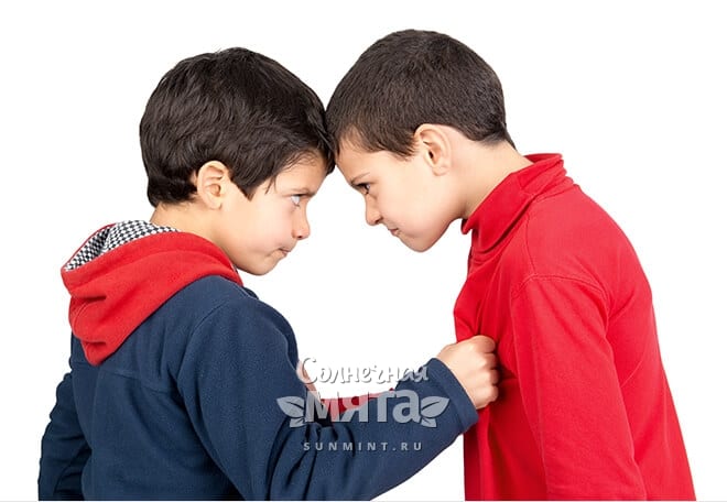 Два мальчика спорят друг с другом, фото