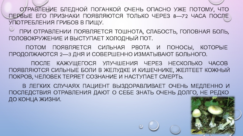 Можно ли отравиться печеньем. Отравление бледной поганкой.