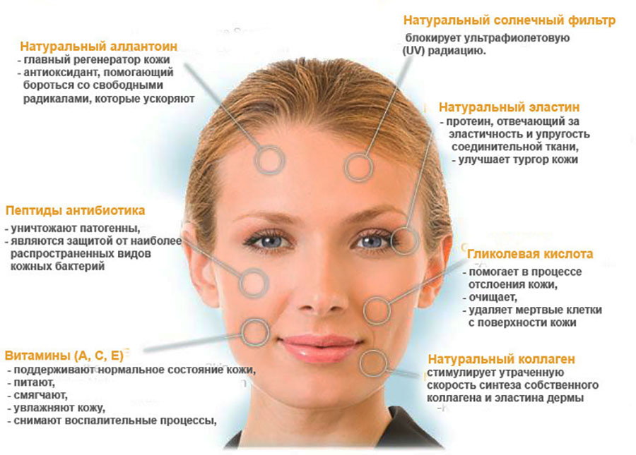 Основные воздествия улиткотерапии на кожу человека